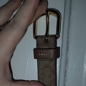 Coach Brown Signature Canvas Belt with Gold Buckle